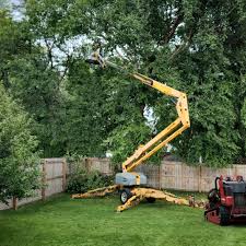 Best Lawn Drainage Solutions  in Pine Hills, CA
